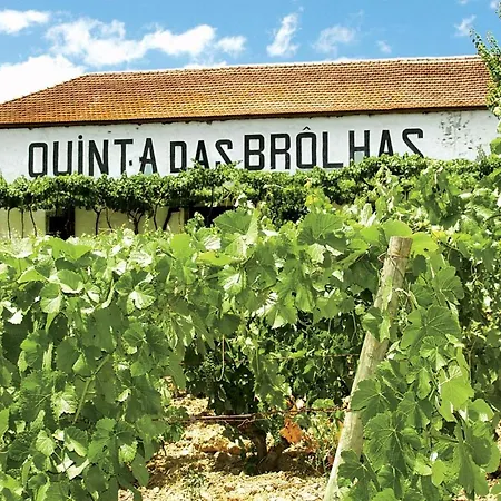 Quinta Das Brolhas ヴィラ ラメゴ